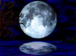 NightScene1600x1200.jpg