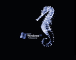 Sea Horse XP Blue.jpg