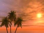 sunset beach.jpg